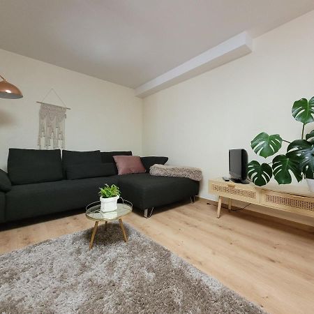 Ferienwohnung Riesling Bobenheim am Berg 外观 照片