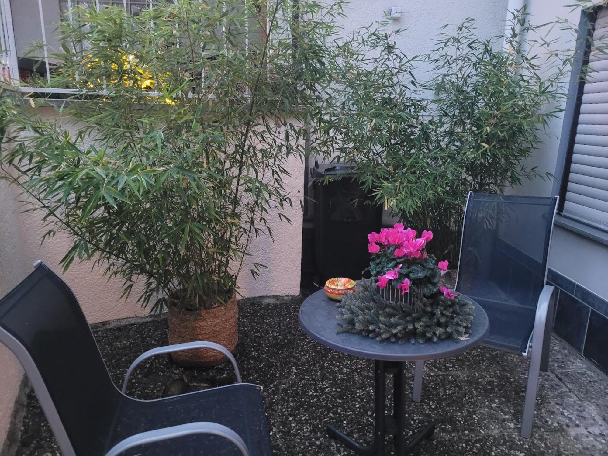 Ferienwohnung Riesling Bobenheim am Berg 外观 照片